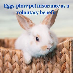 Image post by @company/nationwidepet on LinkedIn