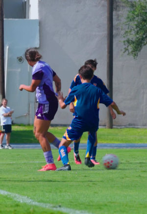 Video post by @clubtigresfemenil on TikTok