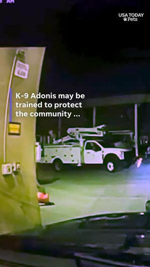Video post by @Enquirer on Facebook