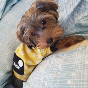 Image post by @kittyj08 on Instagram