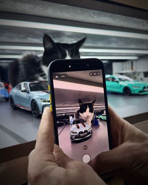 Image post by @bmw on Instagram