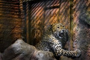 Image post by @natgeo on Instagram