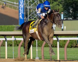 Image post by @thebloodhorse on Instagram