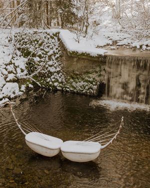 Image post by @cristan.nature.photography on Instagram