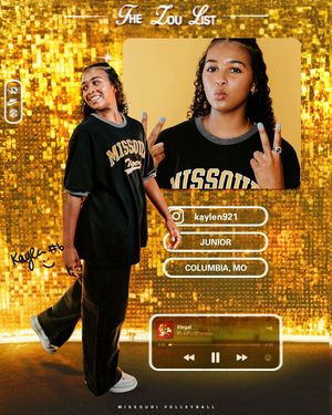 Image post by @mizzouvb on Instagram