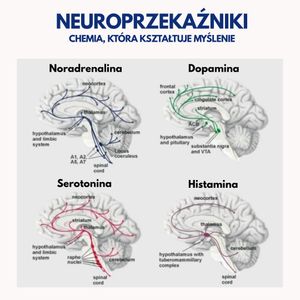 Image post by @neurochirurg_litak on Instagram