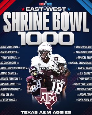 Image post by @shrinebowl on Instagram
