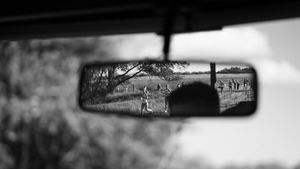 Image post by @emmagphotographs on Instagram