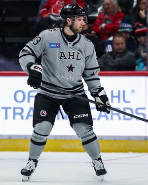 Image post by @theahl on Instagram