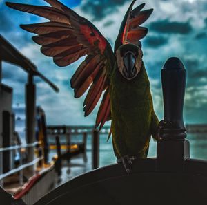 Image post by @bohemiethan on Instagram