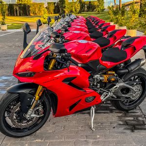 Image post by @panigalers on Instagram