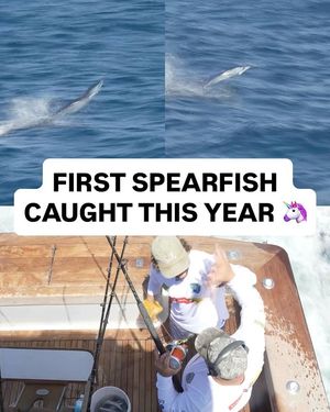 Image post by @sportfishingchampionship on Instagram