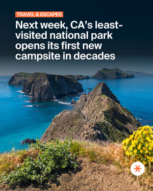 Image post by @secret_sanfrancisco on Instagram