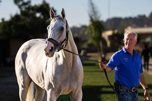 Image post by @fanduel_racing on Instagram