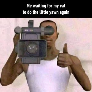Image post by @9gag on Instagram