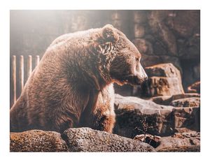 Image post by @leocouphoto on Instagram