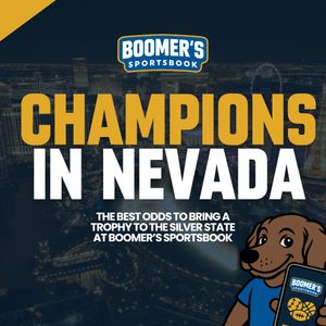 Image post by @betwithboomer on Instagram