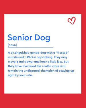 Image post by @petsmart on Instagram