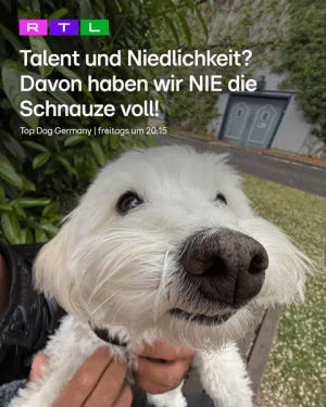 Image post by @rtl_de on TikTok