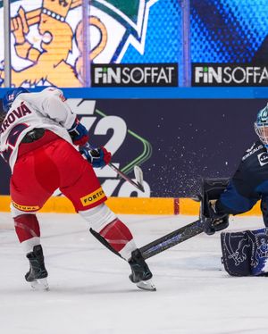 Image post by @leijonatfi on Instagram