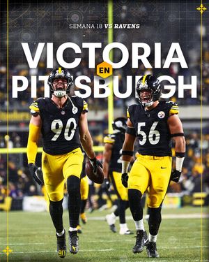 Image post by @lossteelers on Instagram
