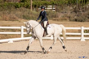 Image post by @smuequestrian on Instagram