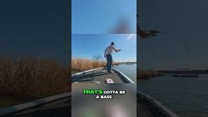Video post by @lakeforkguy on YouTube