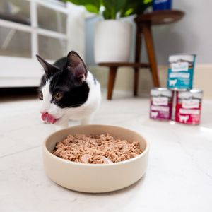 Image post by @triumphpetfood on Instagram