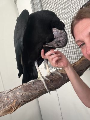 Image post by @denverzoo on Instagram