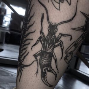Image post by @tauntontattooco on Instagram