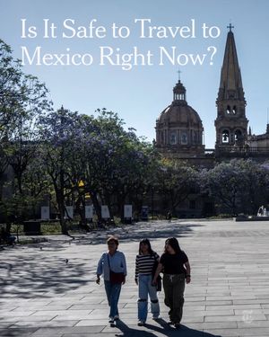 Video post by @nytimes on TikTok