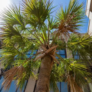 Image post by @uofsclaw on Instagram