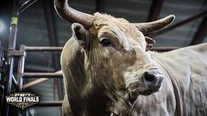 Video post by @pbr on YouTube
