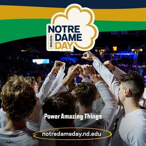 Image post by @NDmbb on Twitter