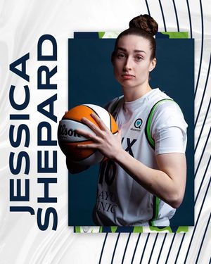 Image post by @minnesotalynx on Instagram