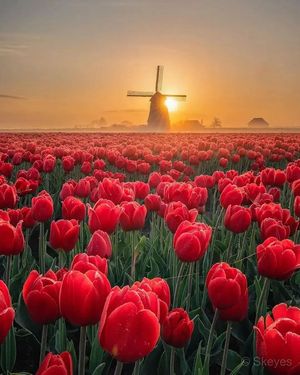 Image post by @nature88885 on Instagram
