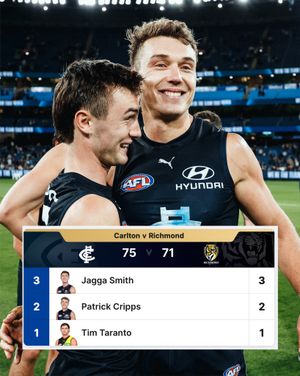 Image post by @carlton_fc on Instagram
