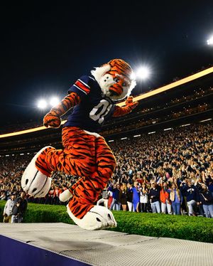 Image post by @auburntigers on Instagram