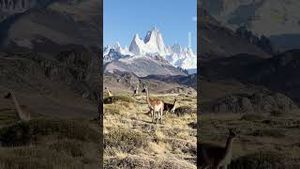 Video post by @bbcearth on YouTube