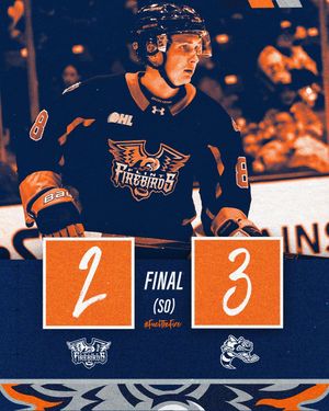 Image post by @flintfirebirds on Instagram