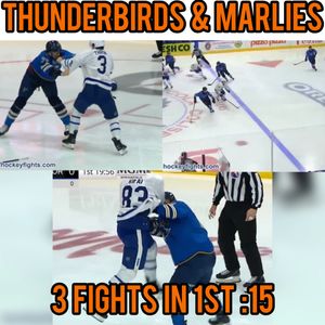 Image post by @hockeyfights on Instagram