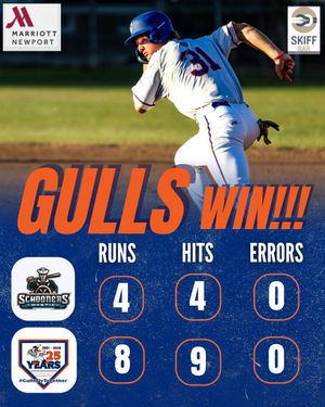Image post by @newportgulls on Instagram