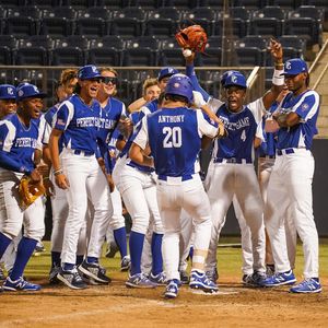 Image post by @pgallamerican on Instagram