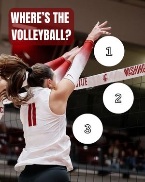 Image post by @wsucougarvb on Instagram