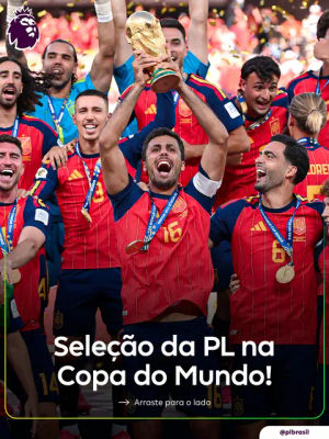 Image post by @plbrasil on TikTok