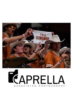 Image post by @caprellaassociatedphotos on Instagram