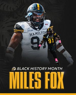 Image post by @hamiltontigercats on Instagram