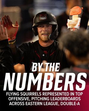 Image post by @gosquirrels on Instagram