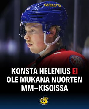 Image post by @leijonat_com on Instagram
