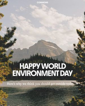 Image post by @commonsearth on Instagram